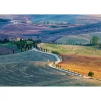 Puzzle Pienza 1000 piese