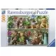 Puzzle Pisici pe raft 500 piese Puzzle Pisici pe raft 500 piese