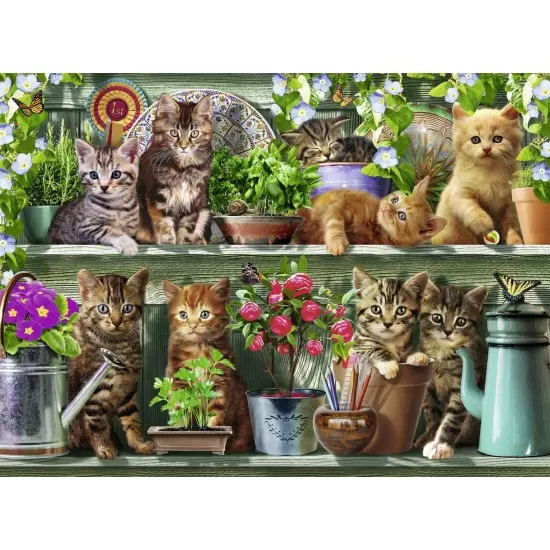 Puzzle Pisici pe raft 500 piese Puzzle Pisici pe raft 500 piese