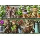 Puzzle Pisici pe raft 500 piese Puzzle Pisici pe raft 500 piese