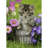 Puzzle pisicuta intre flori 100 piese