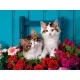 Puzzle pisicute 500 piese Ravesburger Puzzle pisicute 500 piese Ravesburger