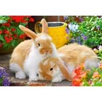 Puzzle porcusor de guinea si iepuras 2x12 piese Ravensburger
