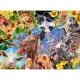 Puzzle portret cu animale 200 piese Puzzle portret cu animale 200 piese