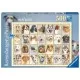 Puzzle portrete de caini 500 piese Puzzle portrete de caini 500 piese