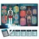 Puzzle educativ - Radiografia corpului uman 84 piese Puzzle educativ - Radiografia corpului uman 84 piese