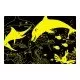 Puzzle straluceste in intuneric 100 piese - Viata marina Puzzle straluceste in intuneric 100 piese - Viata marina