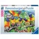 Puzzle Tinutul Loriinilor 1000 piese Puzzle Tinutul Loriinilor 1000 piese