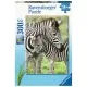 Puzzle zebre 300 piese Ravensburger Puzzle zebre 300 piese Ravensburger
