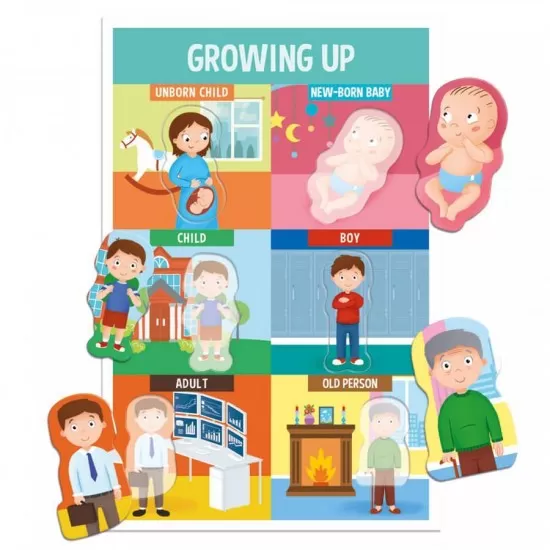 Joc educativ - Sa invatam partile corpului! Joc educativ - Sa invatam partile corpului!