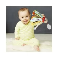 Carticica bebe Skip Hop Explore & More