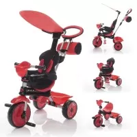 Tricicleta reglabila ZooGo Ladybug Zopa