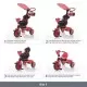 Tricicleta reglabila ZooGo Ladybug Zopa