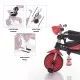 Tricicleta reglabila ZooGo Ladybug Zopa