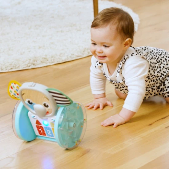 Jucarie interactiva Baby Einstein Chase & Tap Earl Jucarie interactiva Baby Einstein Chase & Tap Earl