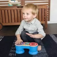 Jucarie muzicala Tobe Hape Magic Touch Baby Einstein