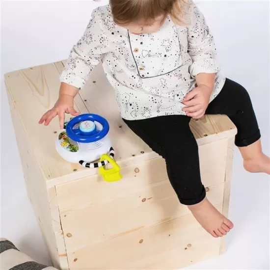 Jucarie volan muzical cu lumini Driving Tunes Baby Einstein Jucarie volan muzical cu lumini Driving Tunes Baby Einstein