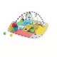 Salteluta de activitati 5 in 1 Ball Pit Baby Einstein Salteluta de activitati 5 in 1 Ball Pit Baby Einstein