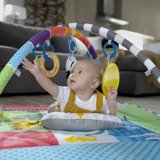Salteluta de activitati 5 in 1 Ball Pit Baby Einstein Salteluta de activitati 5 in 1 Ball Pit Baby Einstein