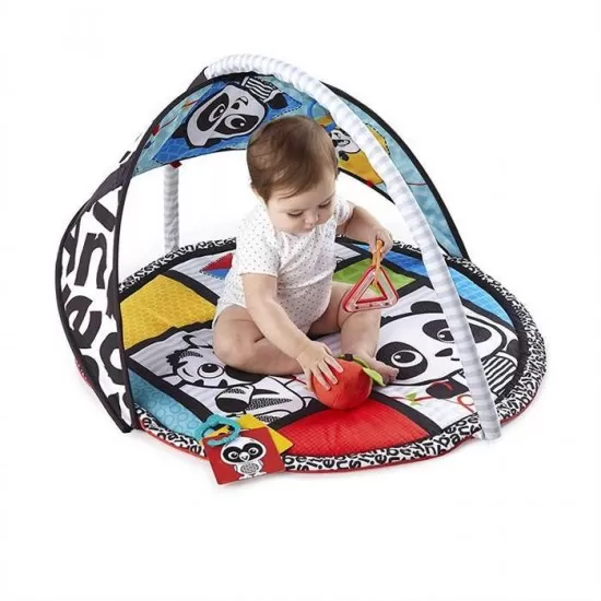 Salteluta de activitati Bold New World Baby Einstein Salteluta de activitati Bold New World Baby Einstein