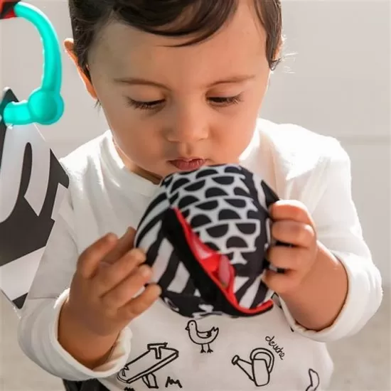 Salteluta de activitati Bold New World Baby Einstein Salteluta de activitati Bold New World Baby Einstein