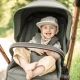 Carucior 3 in 1 BabyGo Harmony Grey cu maner reglabil pe inaltime, cadru Black Carucior 3 in 1 BabyGo Harmony Grey cu maner reglabil pe inaltime, cadru Black