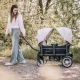Carucior de transport tip vagon BabyGo Cozy Rider Carucior de transport tip vagon BabyGo Cozy Rider