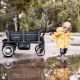 Carucior de transport tip vagon BabyGo Cozy Rider Carucior de transport tip vagon BabyGo Cozy Rider