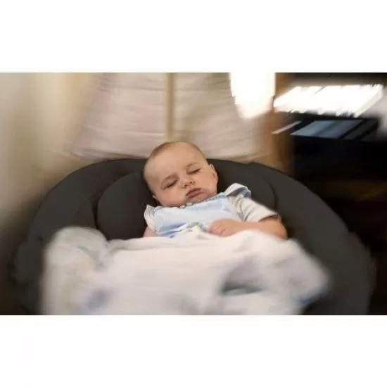 Leagan si balansoar Homey Gri BabyGo