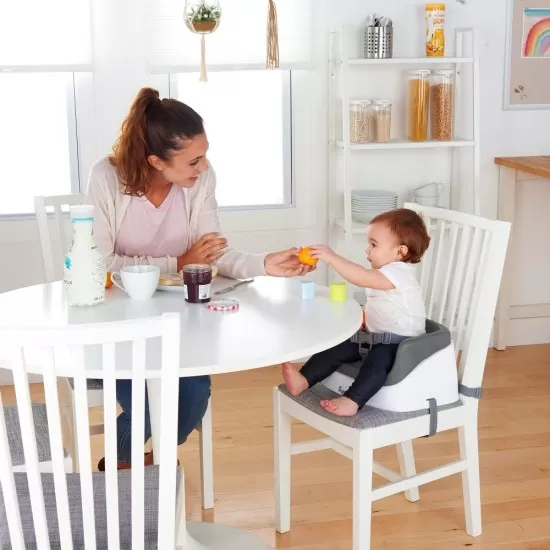 Booster Toddler Slate Ingenuity Booster Toddler Slate Ingenuity