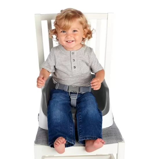 Booster Toddler Slate Ingenuity Booster Toddler Slate Ingenuity