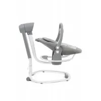 Leagan si balansoar rotativ Serina 2 in 1 Portrait Joie