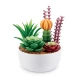 Set figurine 5 Surprise - Botanical Garden Mini Brands, S1 Set figurine 5 Surprise - Botanical Garden Mini Brands, S1