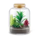 Set figurine 5 Surprise - Botanical Garden Mini Brands, S1 Set figurine 5 Surprise - Botanical Garden Mini Brands, S1