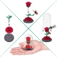 Set figurine 5 Surprise - Botanical Garden Mini Brands, S1 Set figurine 5 Surprise - Botanical Garden Mini Brands, S1