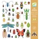 Abtibilduri metalice Microcosmos Djeco Abtibilduri metalice Microcosmos Djeco