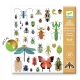 Abtibilduri metalice Microcosmos Djeco Abtibilduri metalice Microcosmos Djeco