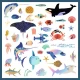Abtibilduri metalice Ocean Djeco Abtibilduri metalice Ocean Djeco