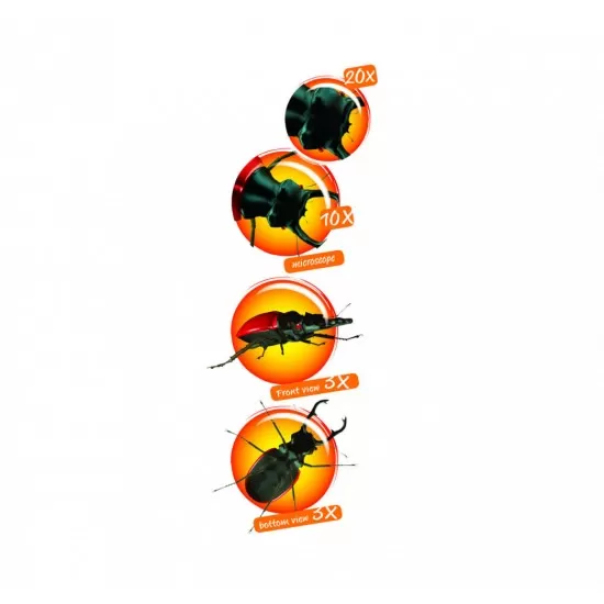 Cutie cu lupa și microscop pentru observarea insectelor Navir Cutie cu lupa și microscop pentru observarea insectelor Navir