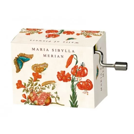Flasneta Maria Sibylla Merian Fluturi Flasneta Maria Sibylla Merian Fluturi