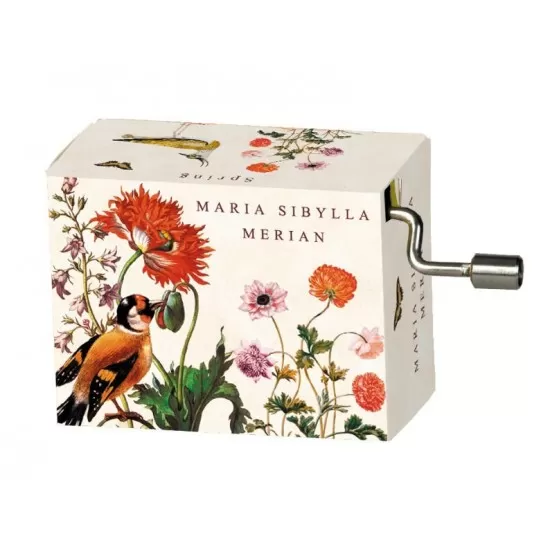 Flasneta Maria Sibylla Meriann Vivaldi Spring Flasneta Maria Sibylla Meriann Vivaldi Spring