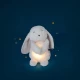 Iepuras plus cu lumina de veghe pentru bebelusi Moulin Roty Iepuras plus cu lumina de veghe pentru bebelusi Moulin Roty