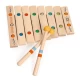 Instrument muzical Xilofon din lemn Djeco