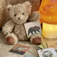 Joc memo Padure Egmont Toys