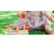 Joc sortator si de numarat Orange Tree Toys Joc sortator si de numarat Orange Tree Toys
