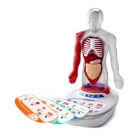 Joc STEM Anatomia umana, TopBright