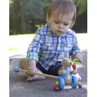 Jucarie de impins Peter Rabbit Orange Tree Toys
