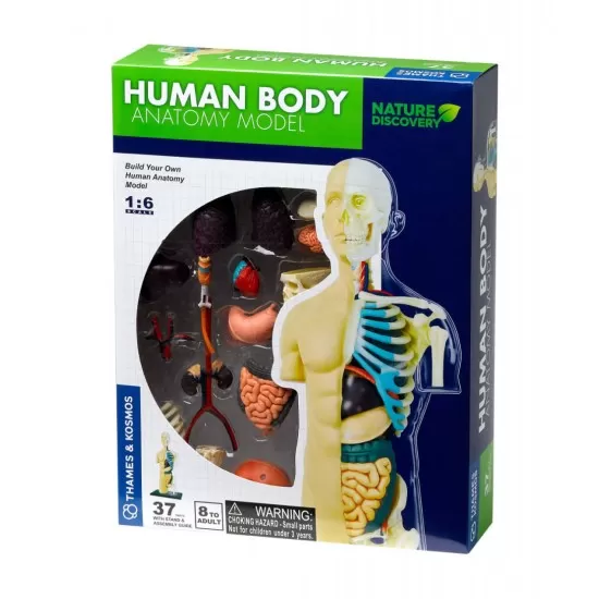 Kit STEM - Anatomia corpului uman Kit STEM - Anatomia corpului uman