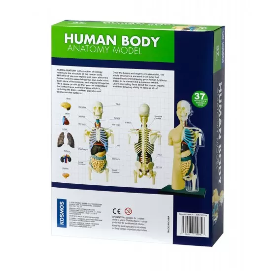Kit STEM - Anatomia corpului uman Kit STEM - Anatomia corpului uman