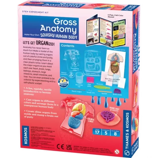 Kit STEM - Organele corpului uman, 37 piese